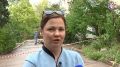 После атаки на улице Героев Подводников спасли домашних животных