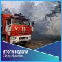 Общественная безопасность. События недели с 24 августа по 30 августа