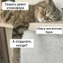 Прогноз магнитных бурь на неделю: учёные предупреждают о скрытых сюрпризах