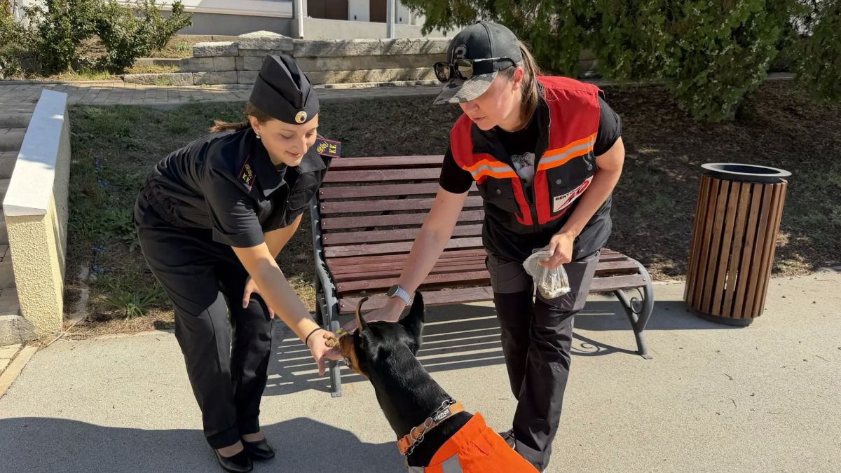 В честь Дня знаний офицеры СК России организовали для кадет практические занятия В честь Дня знаний офицеры СК России организовали для кадет практические занятия