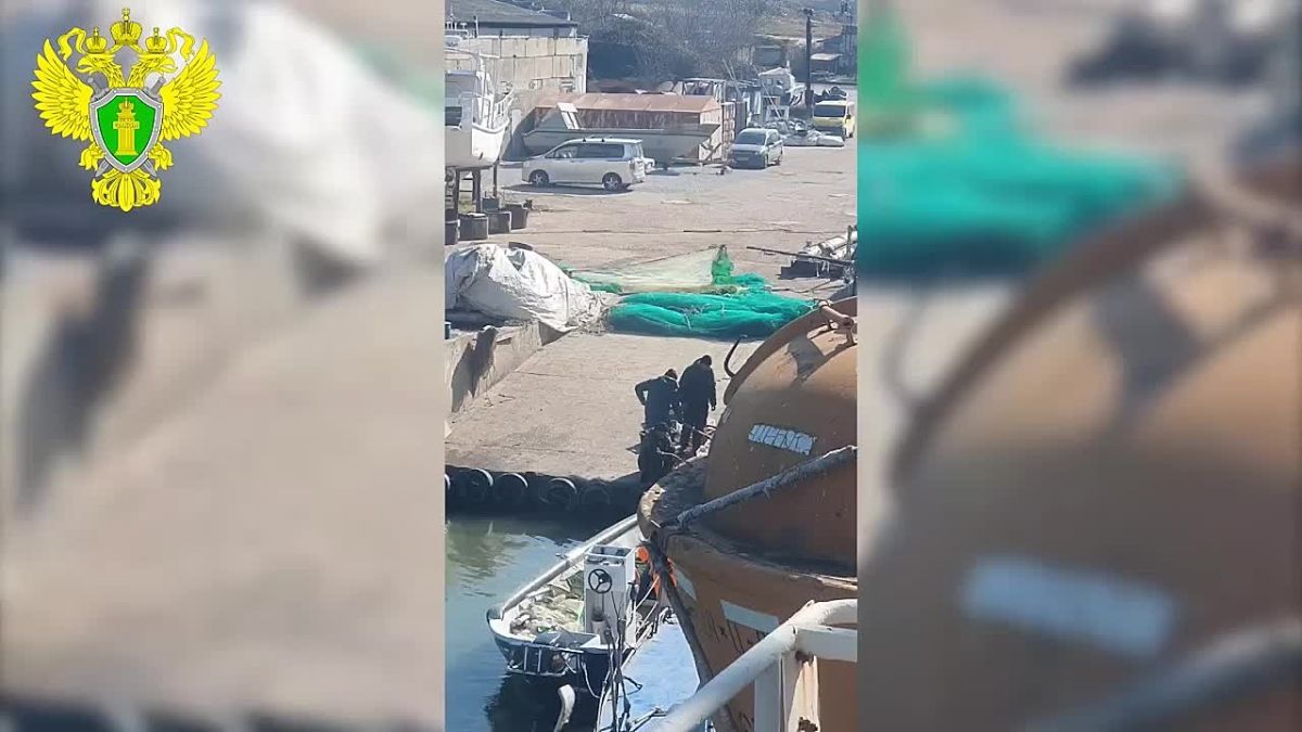 В Севастополе осудили четырех браконьеров за незаконный вылов кефали