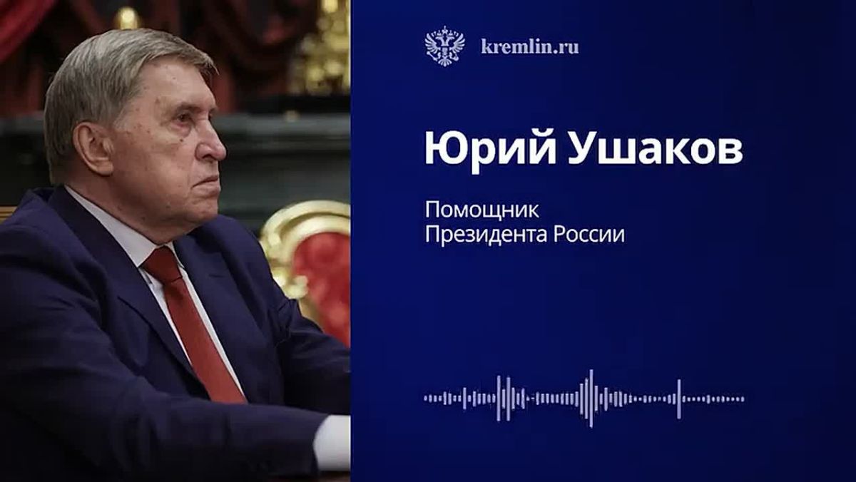 Путин на встрече с Уиткоффом и Кушнером отметил успехи российских войск в СВО и уверенность в достижении ее целей