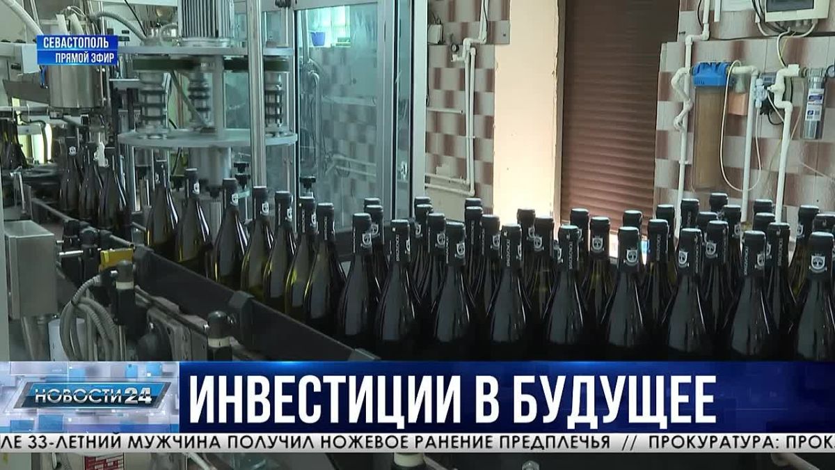 Молодые специалисты винодельческой отрасли региона могут получить государственную поддержку