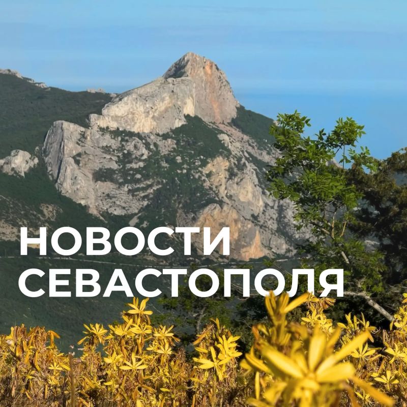 Михаил Развожаев: Коротко о главном:. Севастопольцы объединились, чтобы помочь с ликвидацией последствий атаки ВСУ на улицах Николая Музыки и Супруна