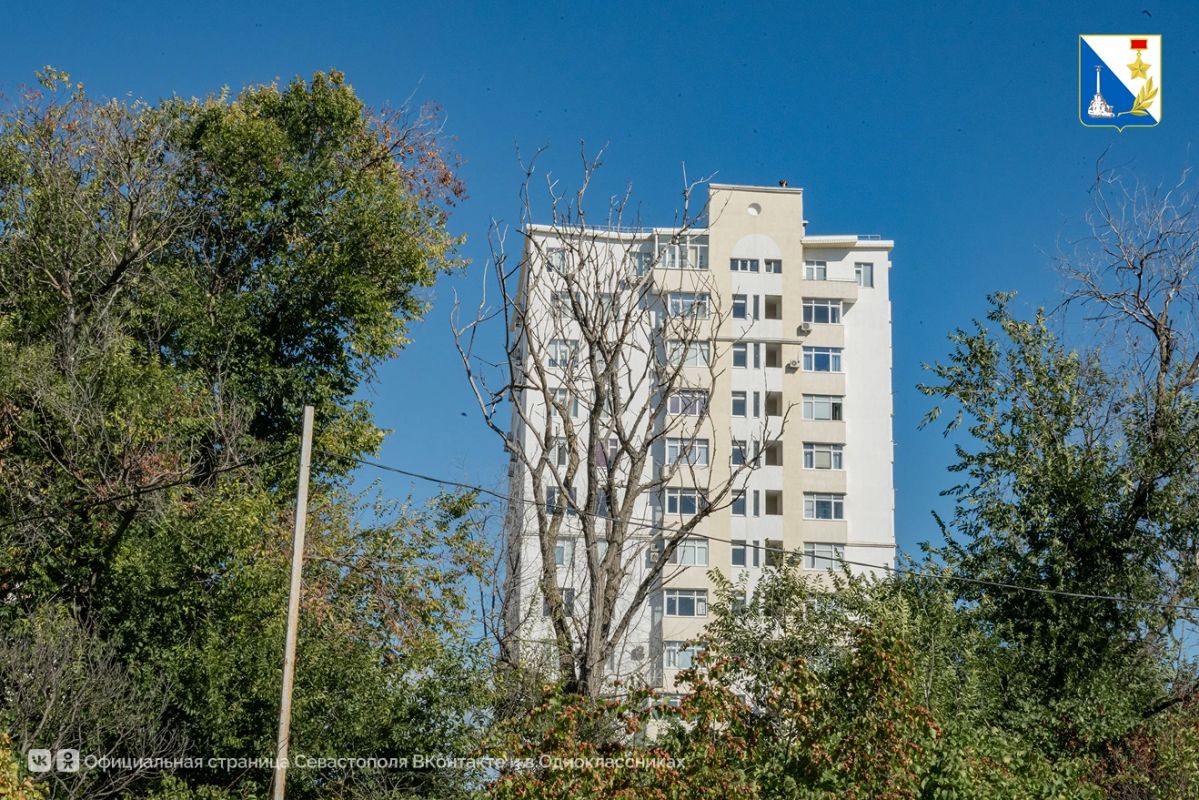 На улице Парковой сохранят более 100 деревьев и увеличат зелёную зону вдвое На улице Парковой сохранят более 100 деревьев и увеличат зелёную зону вдвое