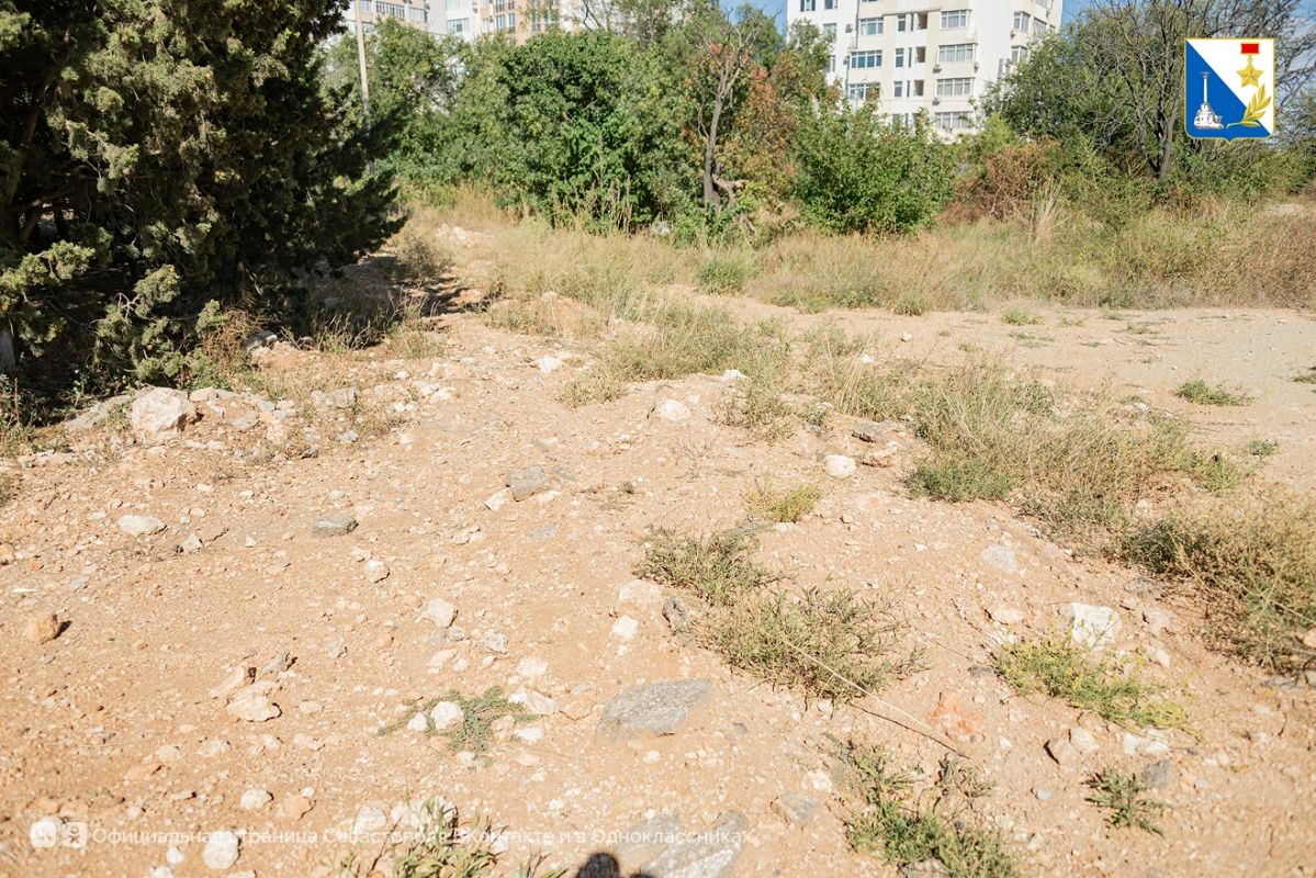 На улице Парковой сохранят более 100 деревьев и увеличат зелёную зону вдвое На улице Парковой сохранят более 100 деревьев и увеличат зелёную зону вдвое