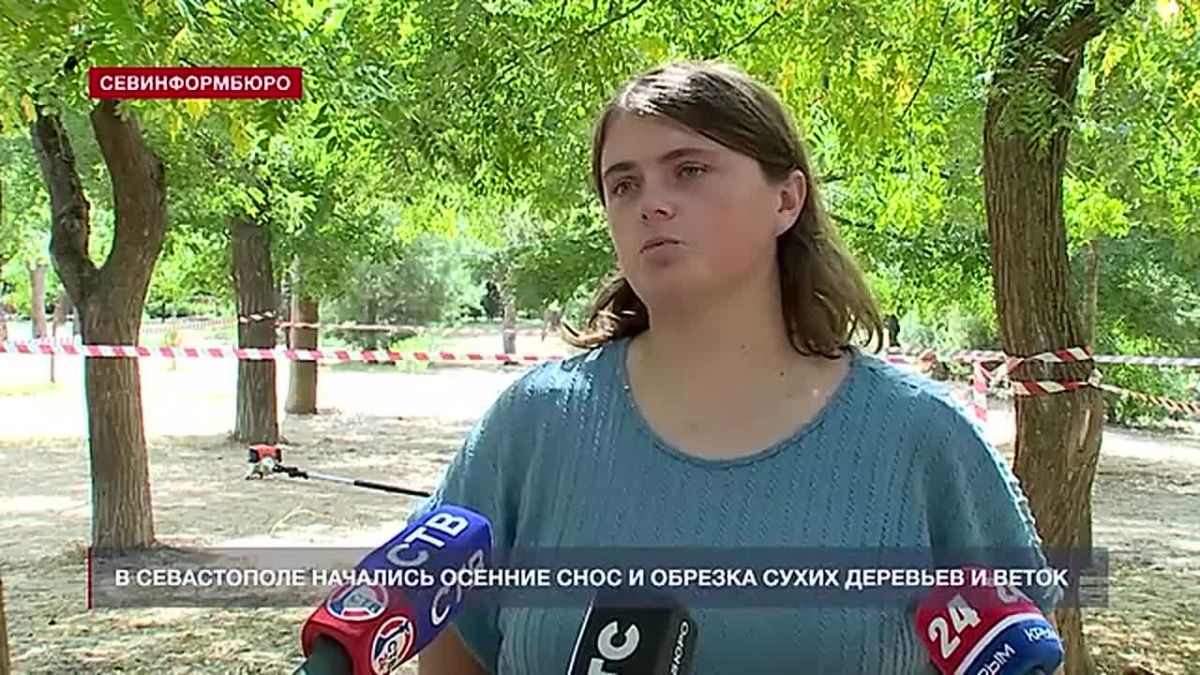 Осенняя обрезка деревьев началась в Севастополе