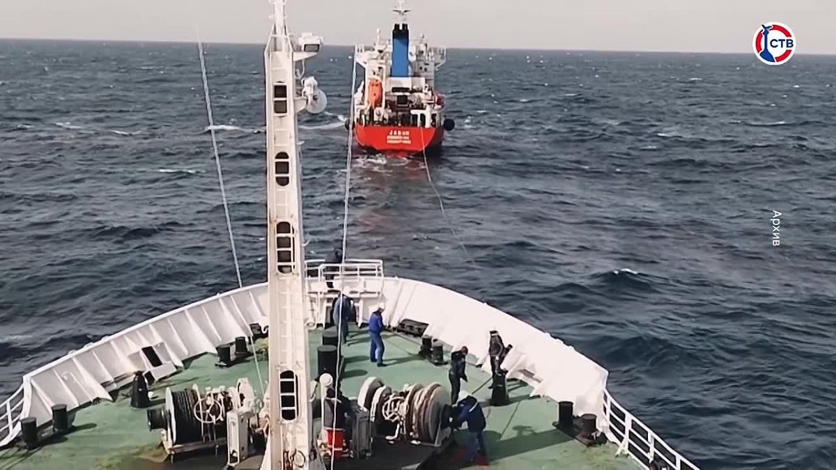 Севастополь в 4-й раз принял ученых со всего мира на научной конференции ИнБЮМ IV Международная научно-практическая конференция объединила более 200 ученых из России, Бразилии, ЮАР, Вьетнама и Гвинеи