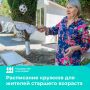 Заботимся о старшем поколении