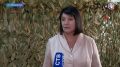 Татьяна Лобач: «Волонтёры «Масксети Бельбек» каждый день помогают нашим бойцам» Депутат Госдумы Татьяна Лобач встретилась с волонтёрами объединения «Масксети Бельбек» и поблагодарила их за ежедневную помощь нашим защитникам....