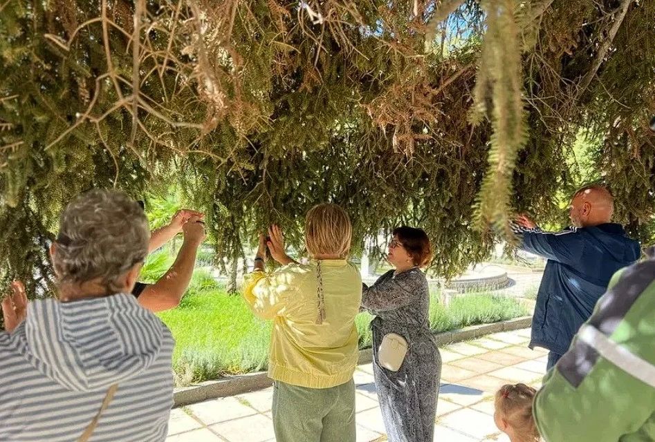 «Живописность Крыма, прелестный его климат стоят в неимоверном контрасте с отсутствием всего похожего на комфорт для злополучного путешественника «Живописность Крыма, прелестный его климат стоят в неимоверном контрасте с отсутствием всего похожего на комфорт для злополучного путешественника
