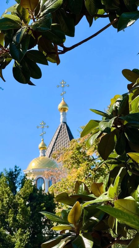 Доброе утро в Херсонесе от крымского блогера Артёма Лавриненко Доброе утро в Херсонесе от крымского блогера Артёма Лавриненко