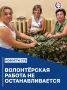 Члены УИК №189 плетут маскировочные сети во время воздушной тревоги