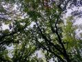 Завтра в Севастополе облачно с прояснениями