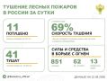За прошедшие сутки в 8 регионах России потушили 11 лесных пожаров