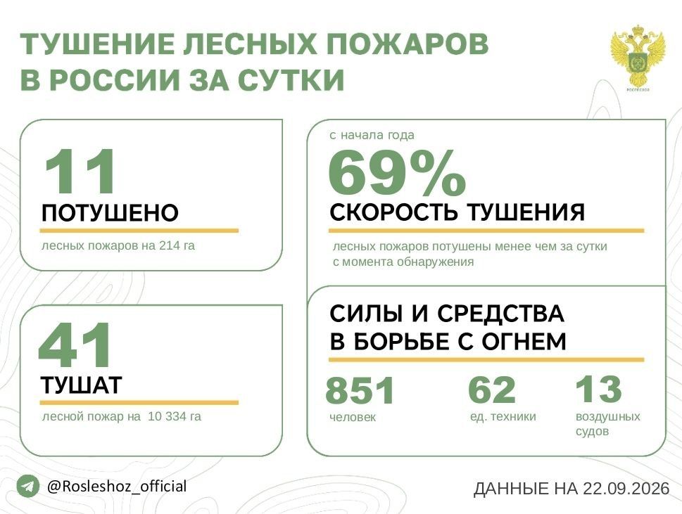 За прошедшие сутки в 8 регионах России потушили 11 лесных пожаров