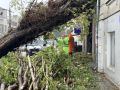Городские службы Севастополя получили более 110 заявок из-за последствий ливня