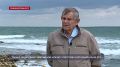 Борис Поротов однажды заметил, что во время гребка ласты пловца расходятся