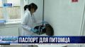 Идентификация без риска. 600 домашних животных в Севастополе получили «электронные паспорта»
