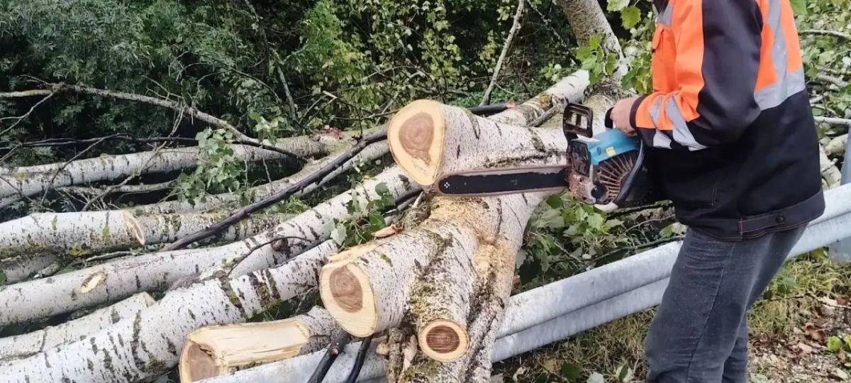 Продолжаем ликвидировать последствия непогоды в городе Продолжаем ликвидировать последствия непогоды в городе