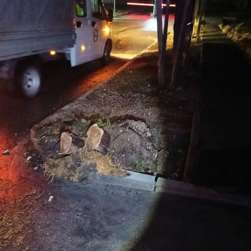 В Севастополе продолжают устранять последствия сильного дождя и ветра В Севастополе продолжают устранять последствия сильного дождя и ветра