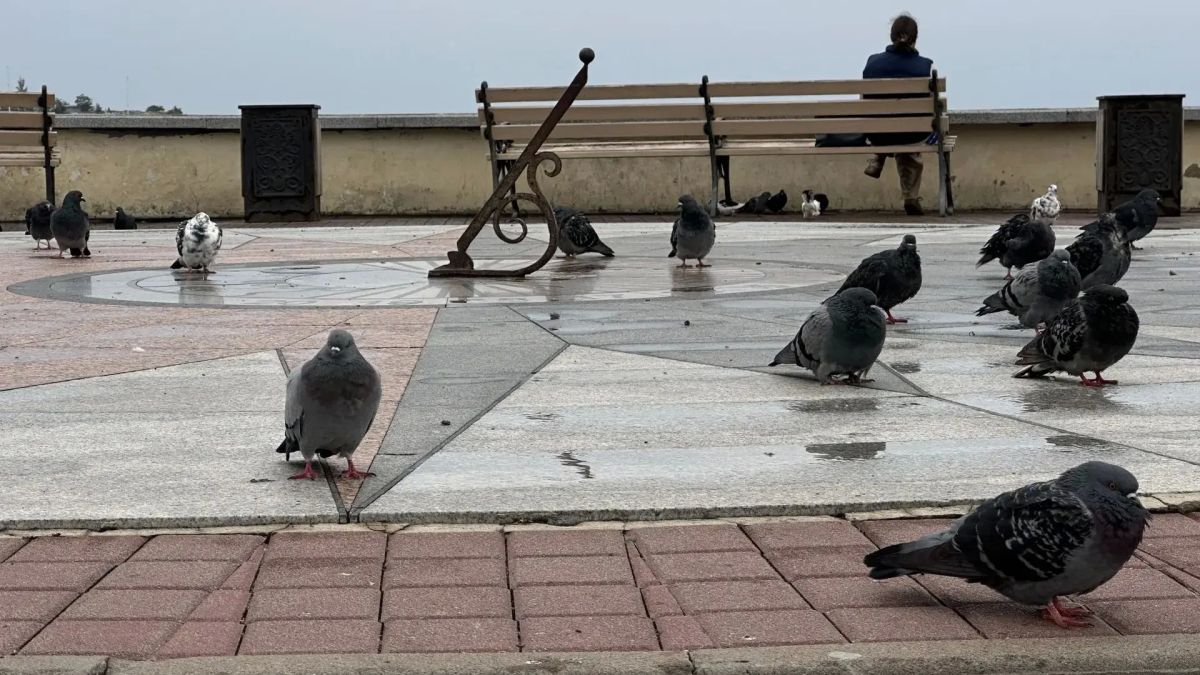 Завтра в Севастополе облачно с прояснениями