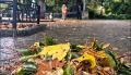 В Севастополь и Крым нагрянет осень