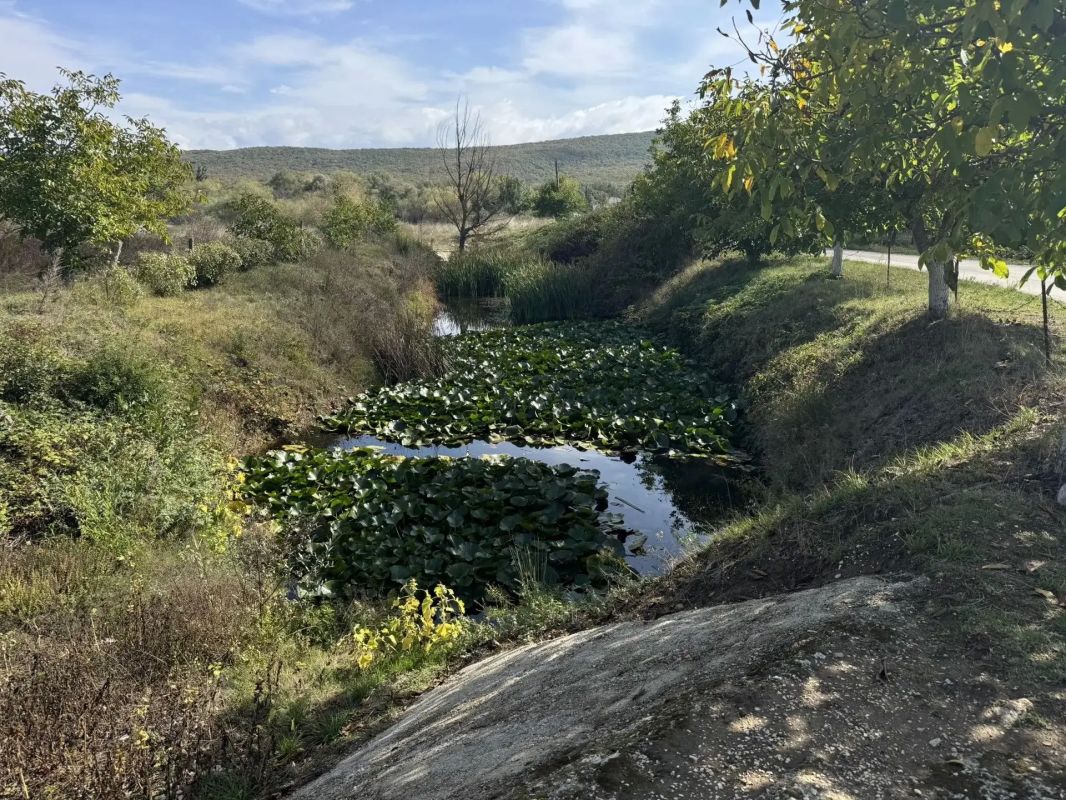 «Севводресурсы» обследовали дамбу в Гончарном «Севводресурсы» обследовали дамбу в Гончарном