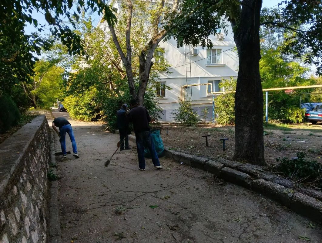 Севастопольская осень радует нас теплыми красками, но вместе с золотой порой приходит и традиционная задача — уборка опавшей листвы Севастопольская осень радует нас теплыми красками, но вместе с золотой порой приходит и традиционная задача — уборка опавшей листвы