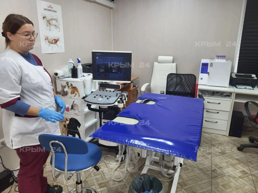 Ветклиника Феодосии готовится к переезду в отремонтированное знание