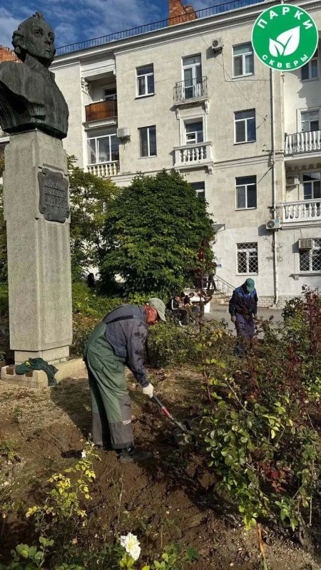 На площади им. Суворова появились новые кусты роз.