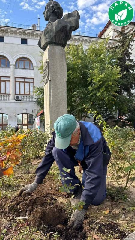 На площади им. Суворова появились новые кусты роз. На площади им. Суворова появились новые кусты роз.