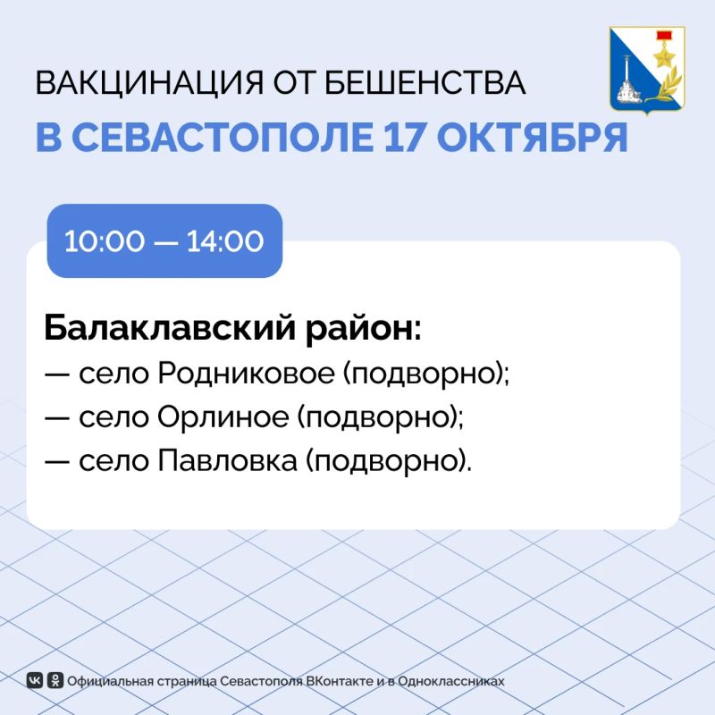 Более 80 домашних питомцев на выходных привили специалисты госветслужбы Более 80 домашних питомцев на выходных привили специалисты госветслужбы