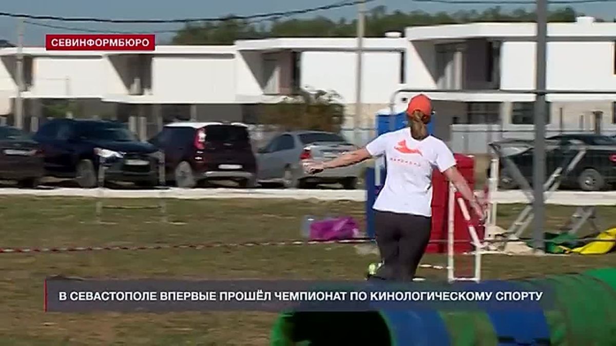 Чемпионат по кинологическому спорту впервые прошёл в Севастополе