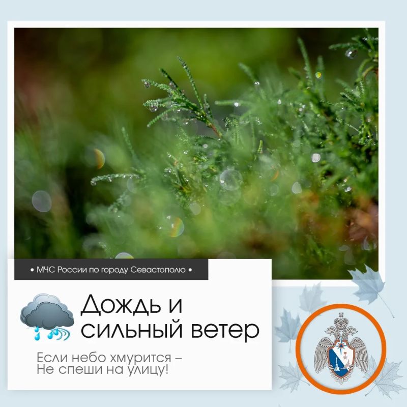 Здравствуй, Севастополь!. По данным гидрометцентра, 15 октября в Севастополе будет облачно