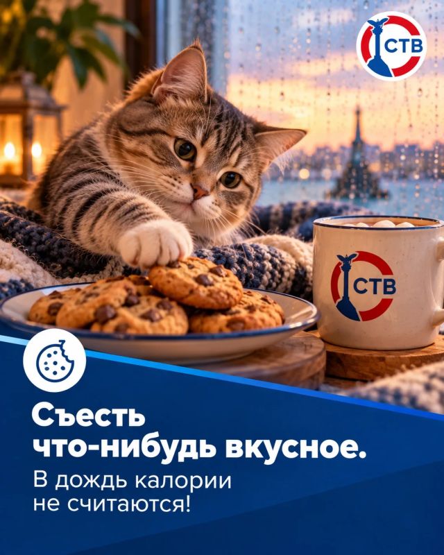 Чем заняться в Севастополе, когда за окном дождь, а у вас выходной? Чем заняться в Севастополе, когда за окном дождь, а у вас выходной?