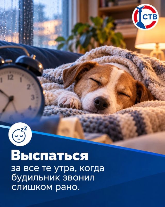 Чем заняться в Севастополе, когда за окном дождь, а у вас выходной? Чем заняться в Севастополе, когда за окном дождь, а у вас выходной?