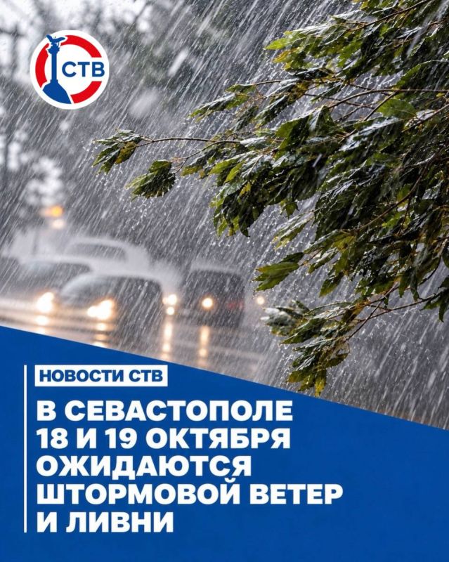 В Севастополе открыли первый таможенный класс В Севастополе открыли первый таможенный класс