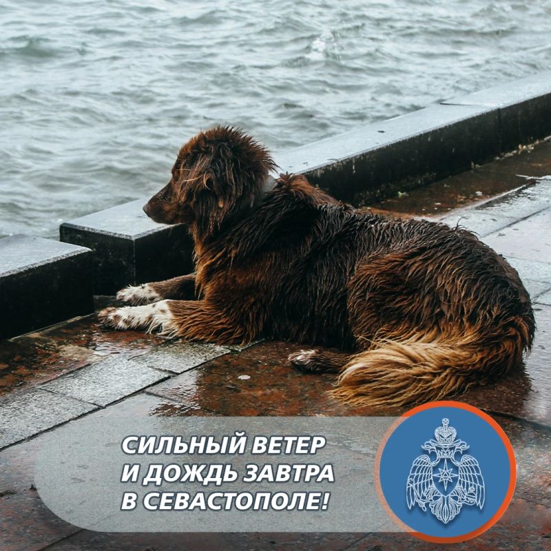 Сильный ветер дождь завтра и послезавтра в Севастополе!