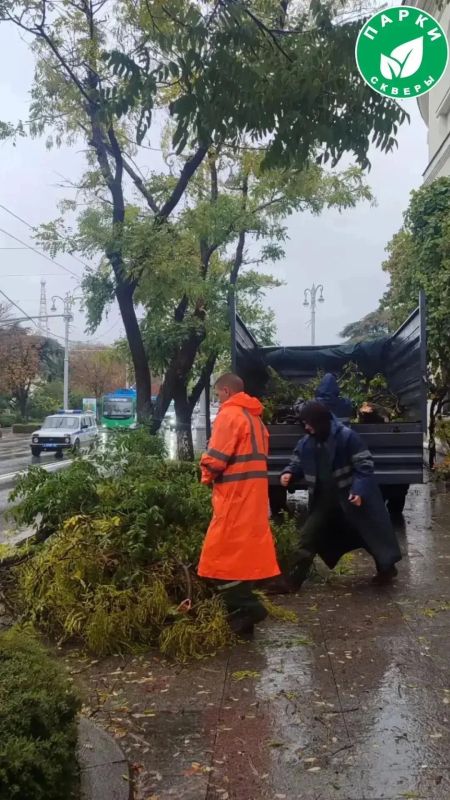 «Парки и скверы» устраняют последствия непогоды в Севастополе «Парки и скверы» устраняют последствия непогоды в Севастополе