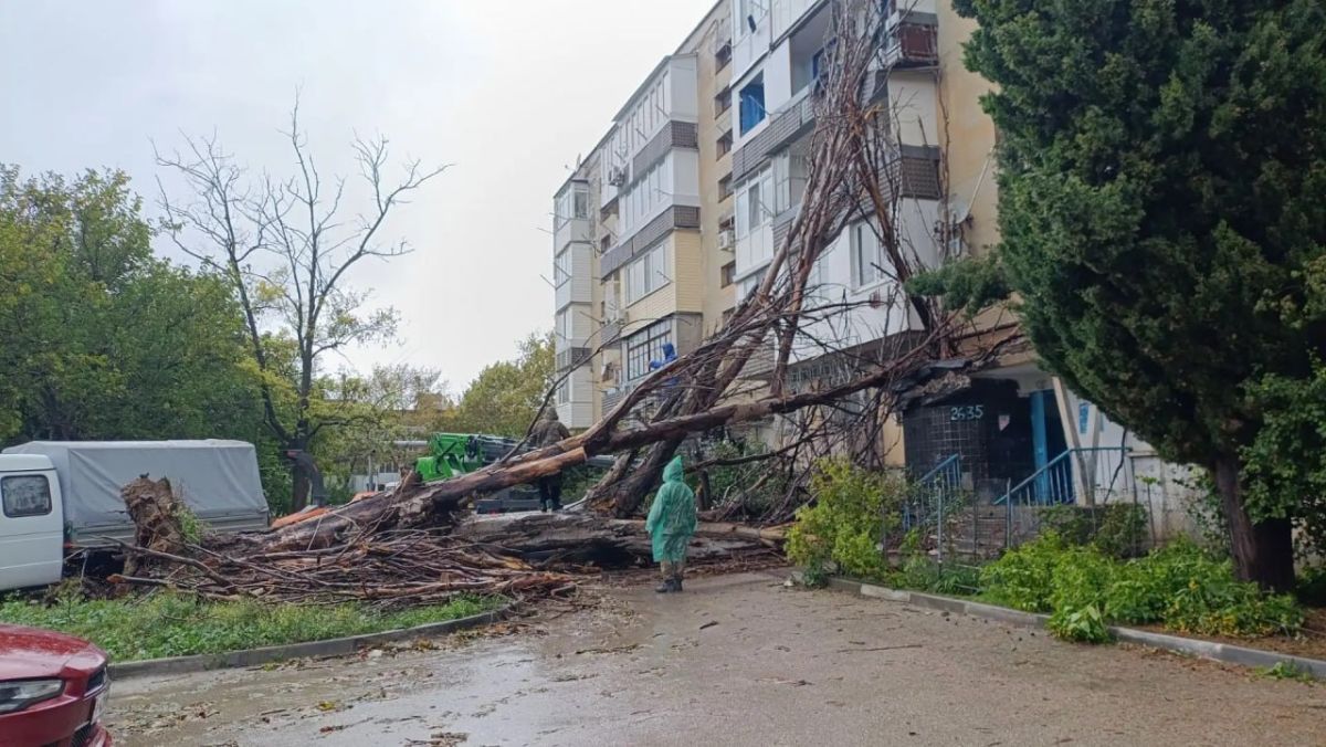 Сотрудники «Горсвета» сегодня с утра работают на ликвидации последствий разгула стихии Сотрудники «Горсвета» сегодня с утра работают на ликвидации последствий разгула стихии