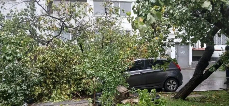 В Севастополе спасатели нашли двух туристов, заблудившихся у Храма Солнца