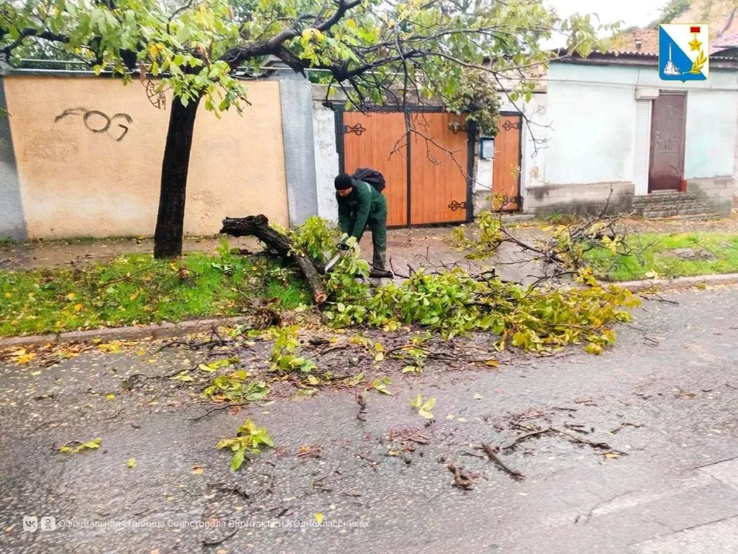 Городские службы Севастополя устраняют последствия ночной непогоды Городские службы Севастополя устраняют последствия ночной непогоды