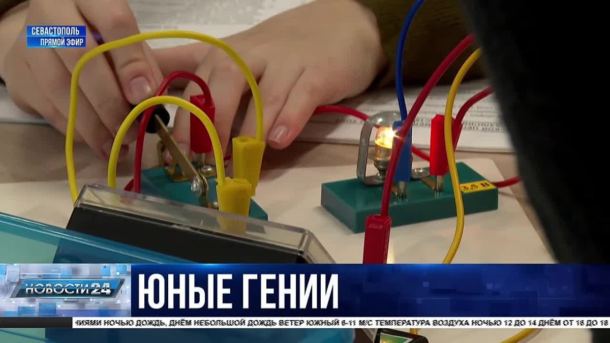 Обучение юных гениев: как школьников готовят к главным олимпиадам страны