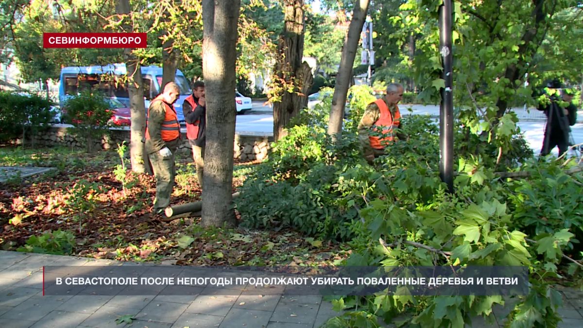 Поваленные непогодой деревья и ветви продолжают убирать в Севастополе Поваленные непогодой деревья и ветви продолжают убирать в Севастополе