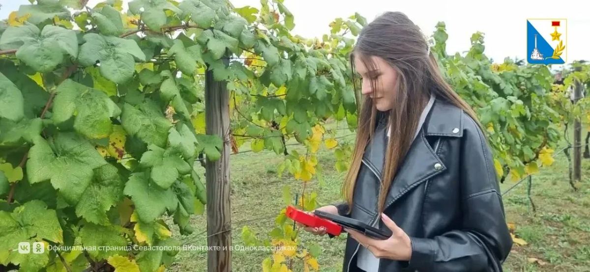 Севастопольских школьников будут готовить к работе в агропромышленном комплексе Севастопольских школьников будут готовить к работе в агропромышленном комплексе