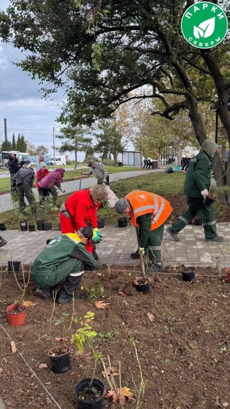 В парке имени Анны Ахматовой и сквере Генерала Жидилова оформили зелёные зоны
