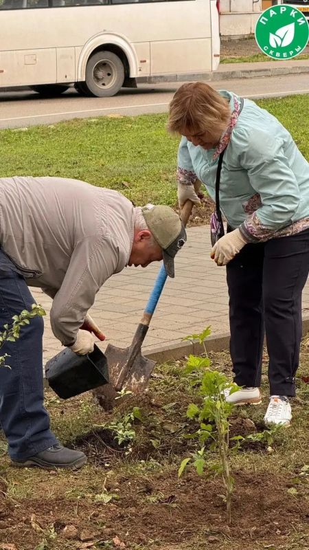 В парке имени Анны Ахматовой и сквере Генерала Жидилова оформили зелёные зоны В парке имени Анны Ахматовой и сквере Генерала Жидилова оформили зелёные зоны