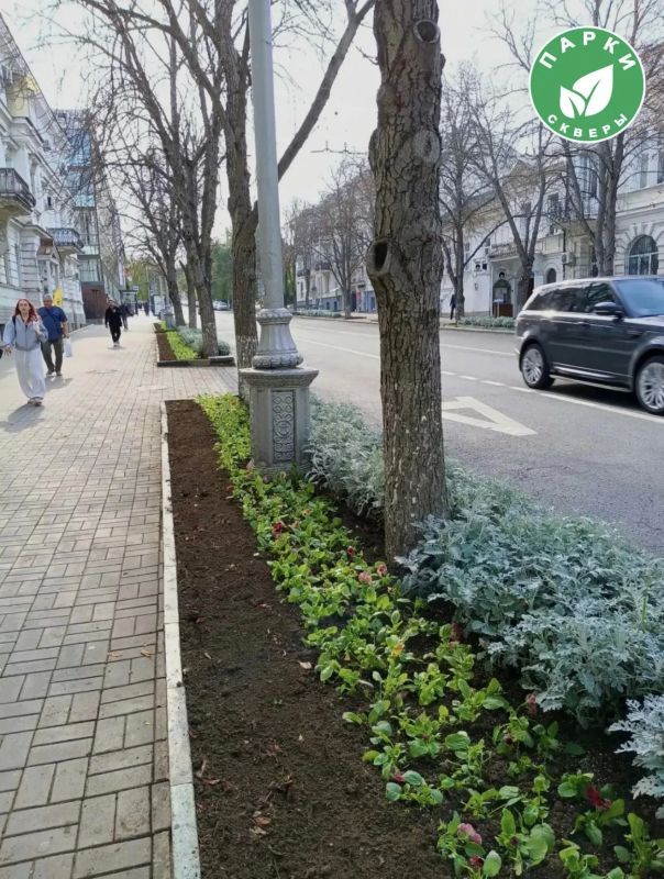На улице Ленина высаживают две тысячи анютиных глазок На улице Ленина высаживают две тысячи анютиных глазок