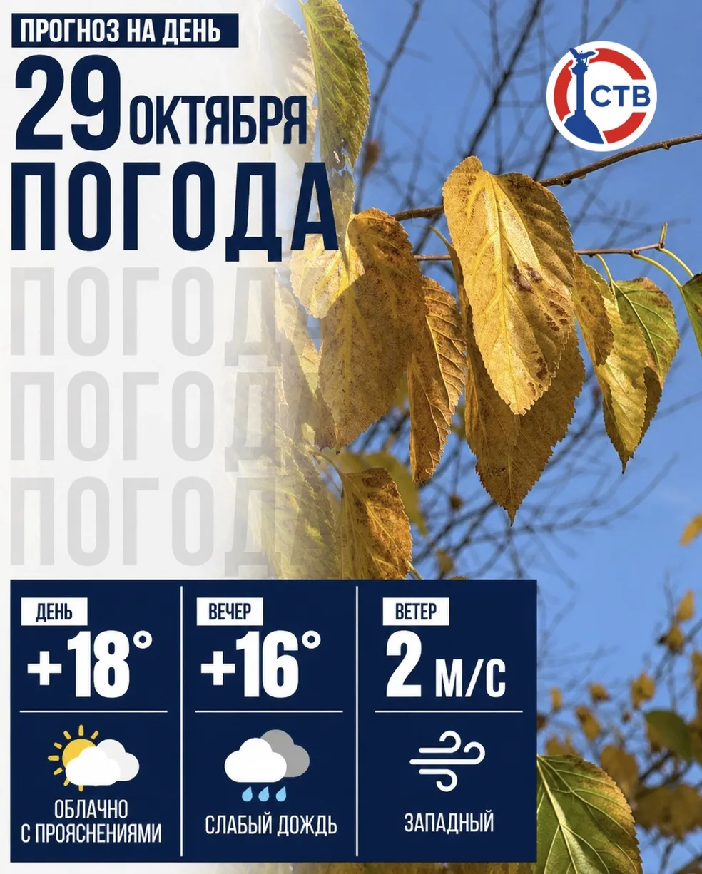 Сегодня в Севастополе станет немного прохладнее, чем накануне, но погода будет достаточно мягкой для конца октября